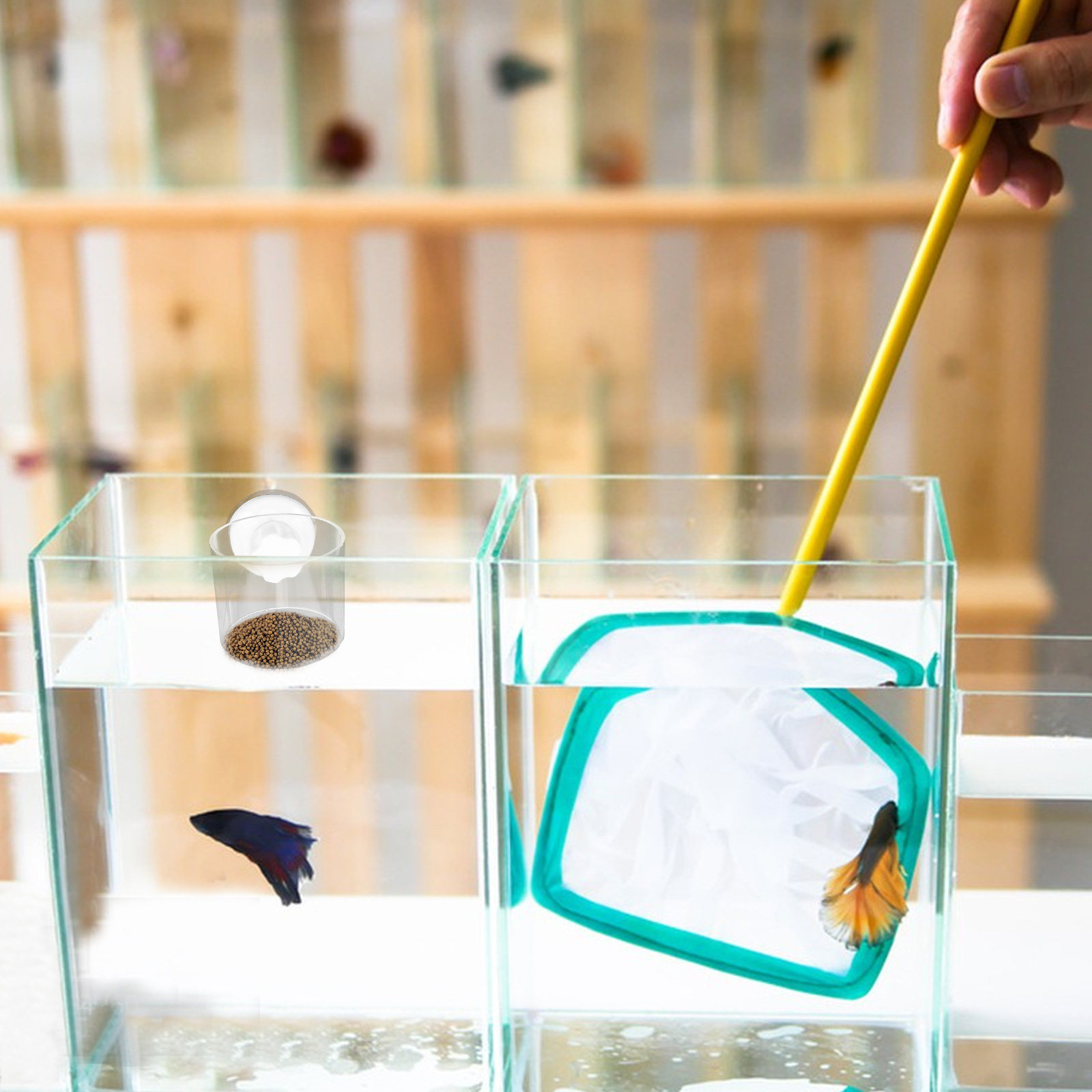 Aquarium Fish Keeping - 2개입 수족관 먹이 링, 소형 수조용