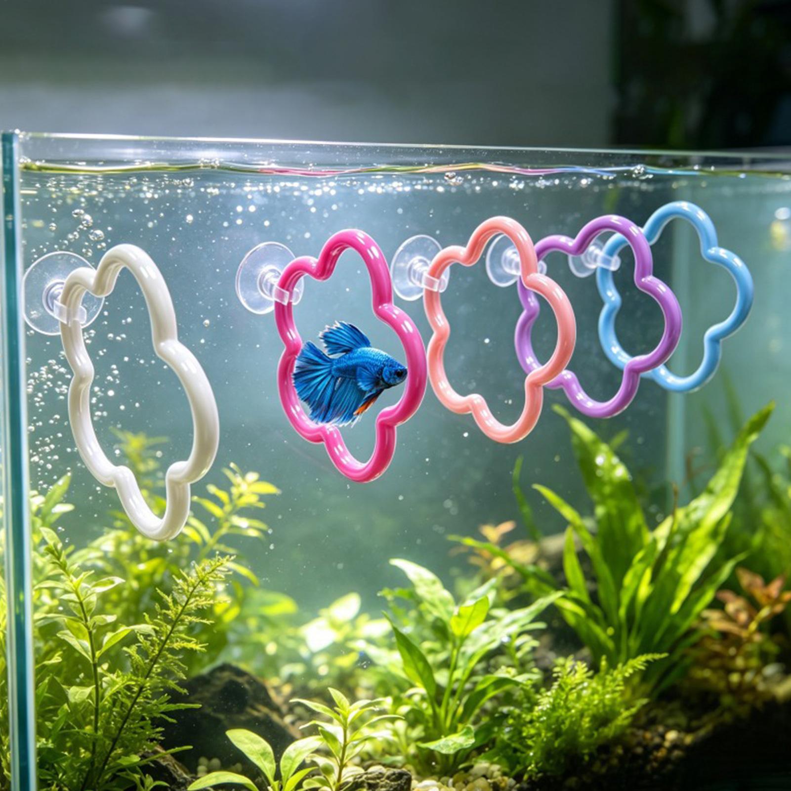 Aquarium Fish Betta - 베타 물고기 장난감 5개 다채로운 흡착