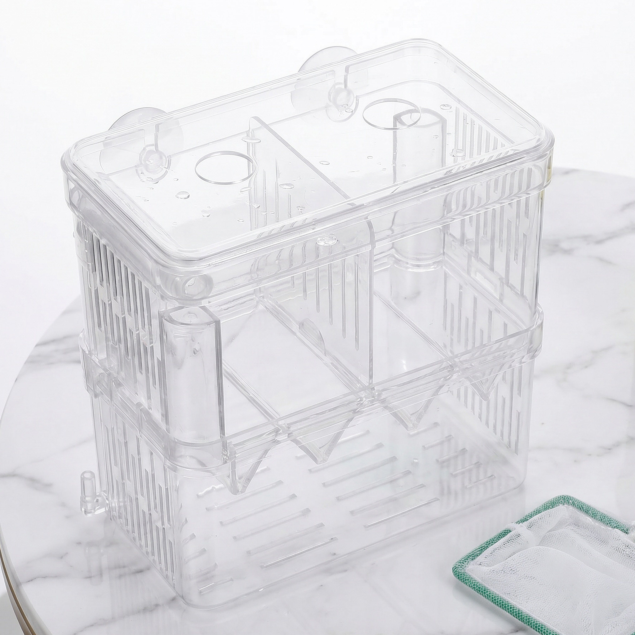 투명한 수조 격리 번식 상자, 흡착 컵 포함, 어린 물 - Betta Fish Tank 리뷰 및 가격