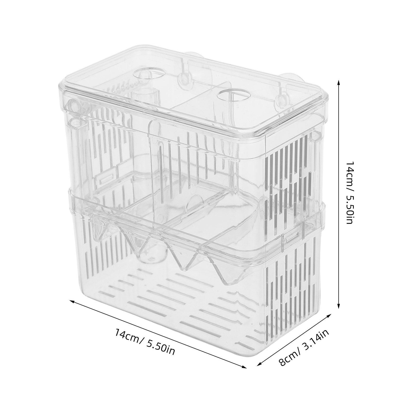투명한 수조 격리 번식 상자, 흡착 컵 포함, 어린 물 - Betta Fish Tank 리뷰 및 가격