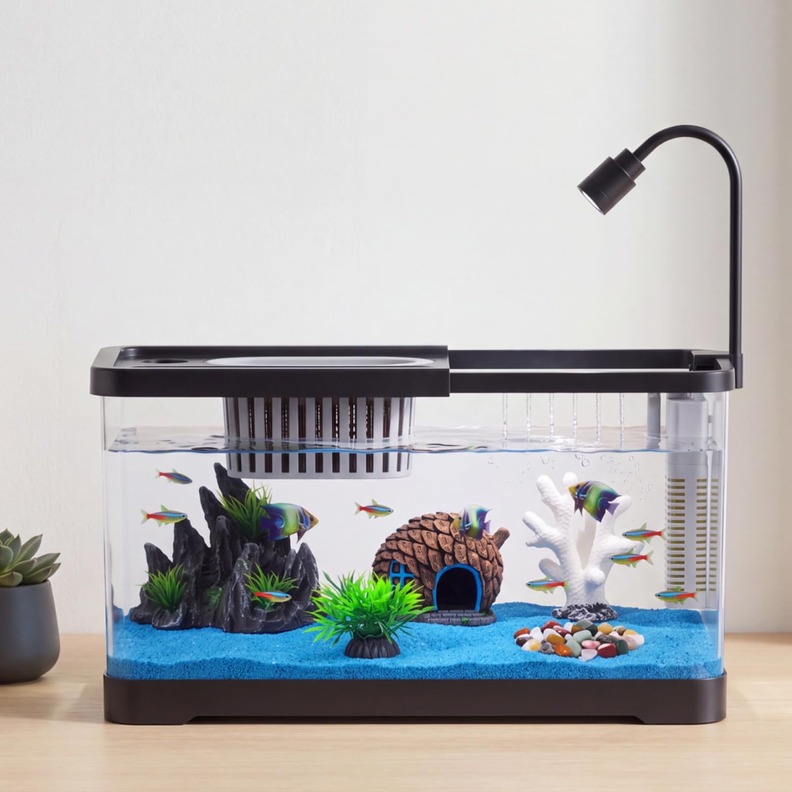 어항 스타터 키트(필터 및 조명 포함) - 금붕어, 새 - Betta Fish Tank 리뷰 및 가격