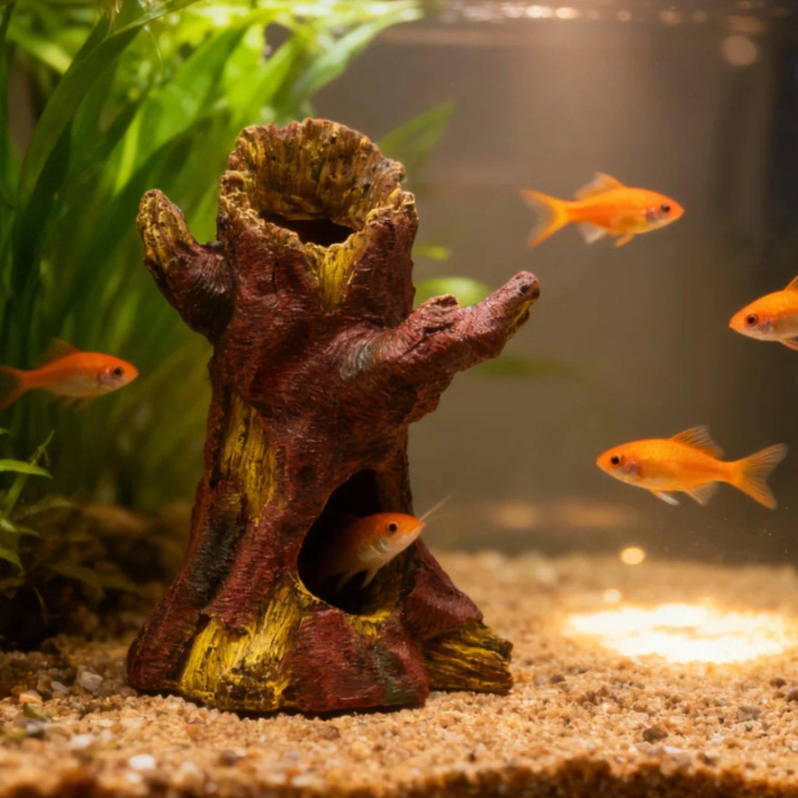 수족관 조경 장식 수족관 데코 레진 나무 줄기 쉼터 ( - Aquarium Decor 리뷰 및 가격