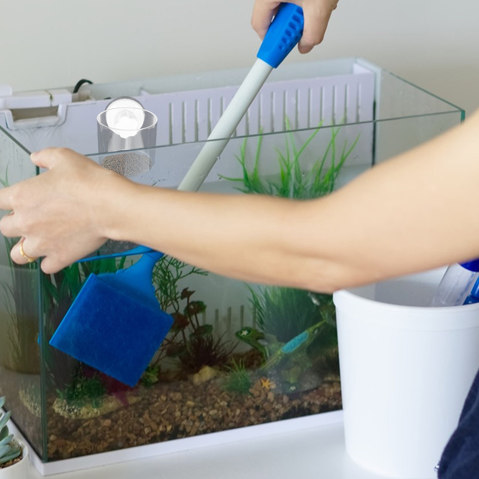 2개입 수족관 먹이 링, 소형 수조용 아크릴 부유식 먹 - Aquarium Fish Keeping 리뷰 및 가격