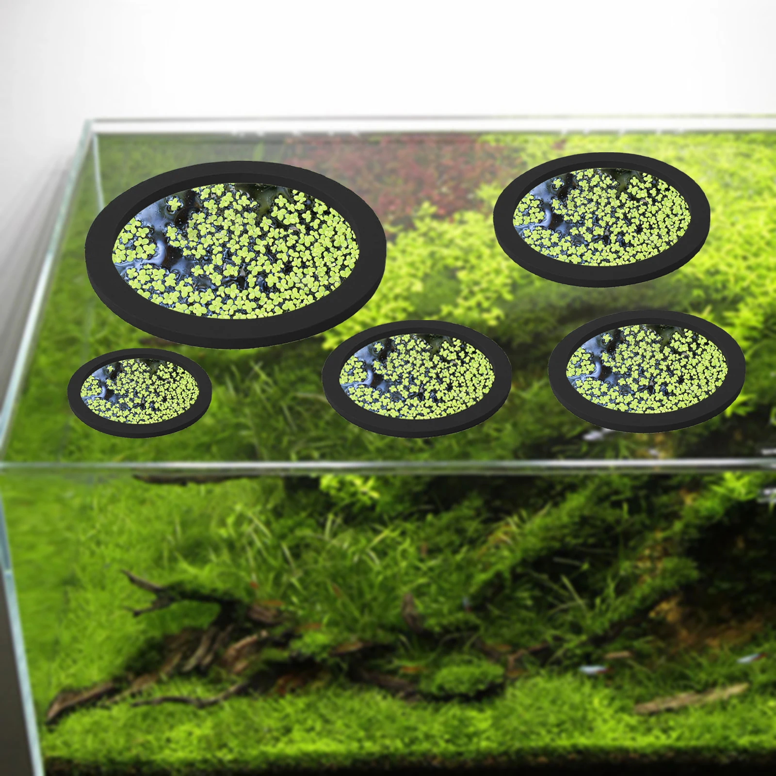 EVA 물고기 먹이 고리 수족관 플로팅 식물, 코랄 어 - Fish Aquarium Home 리뷰 및 가격