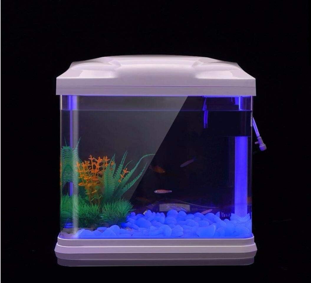 물고기 탱크 바위 정원 물고기 탱크 수족관 식물 냄비  - Aquarium Plants 리뷰 및 가격