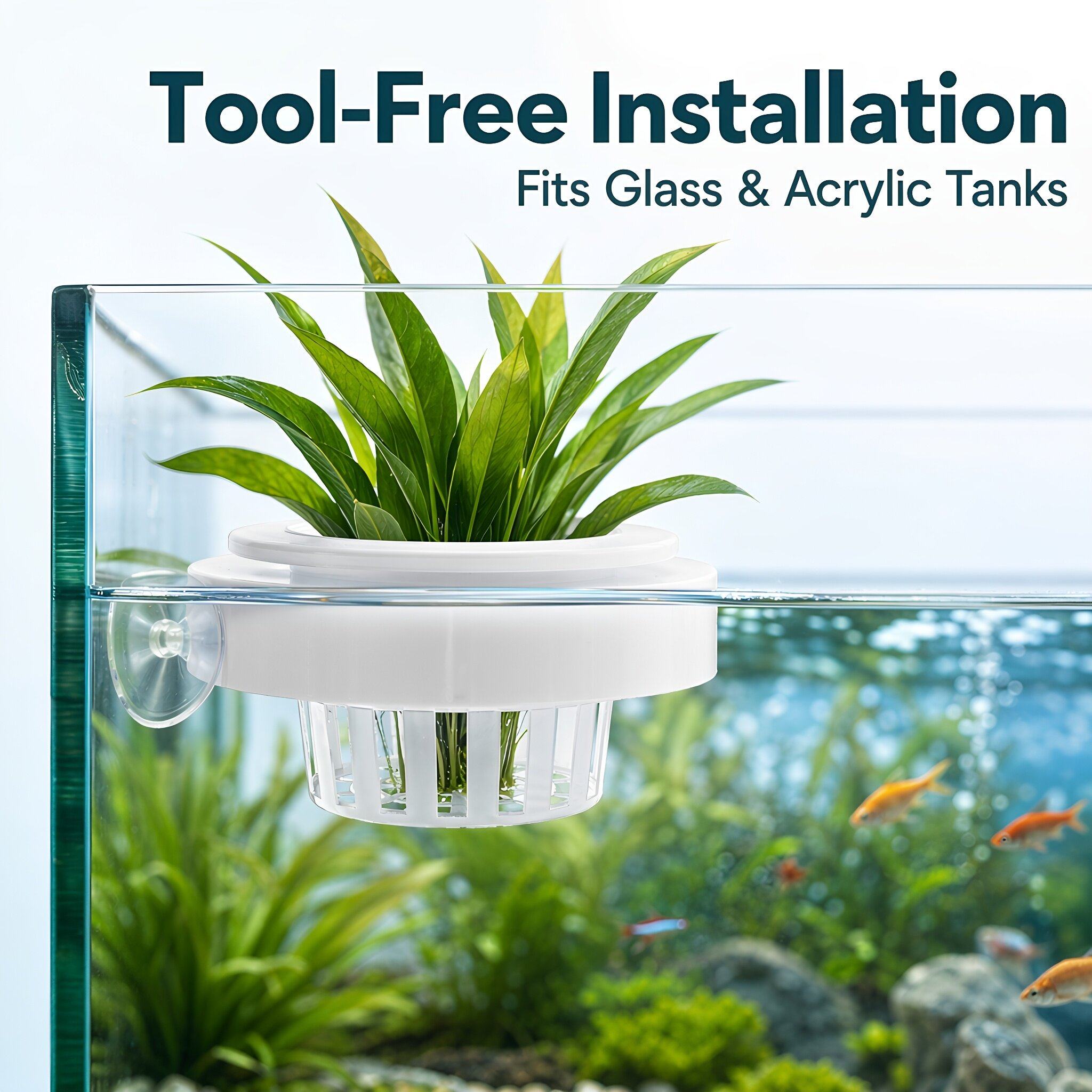 4개 세트, 수중 식물용 플라스틱 바구니, 흡착판이 달 - Aquarium Plants 리뷰 및 가격