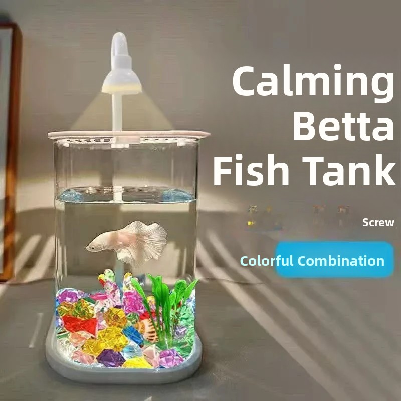 풀세트 투명 미니 어항 크리스탈 스톤 데스크탑 친환경  - Betta Fish Tank 리뷰 및 가격