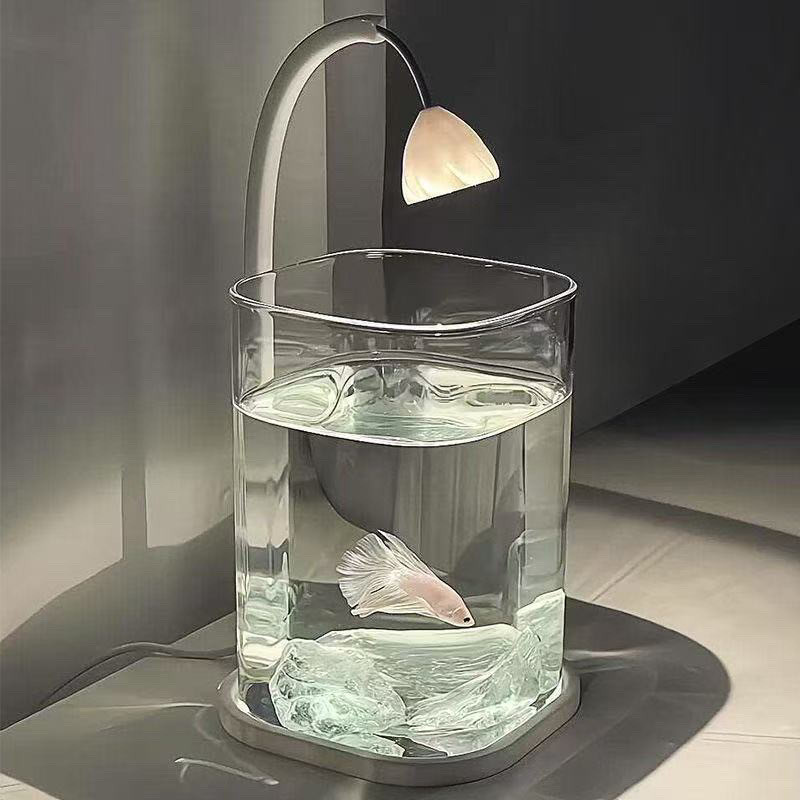 풀세트 투명 미니 어항 크리스탈 스톤 데스크탑 친환경  - Betta Fish Tank 리뷰 및 가격