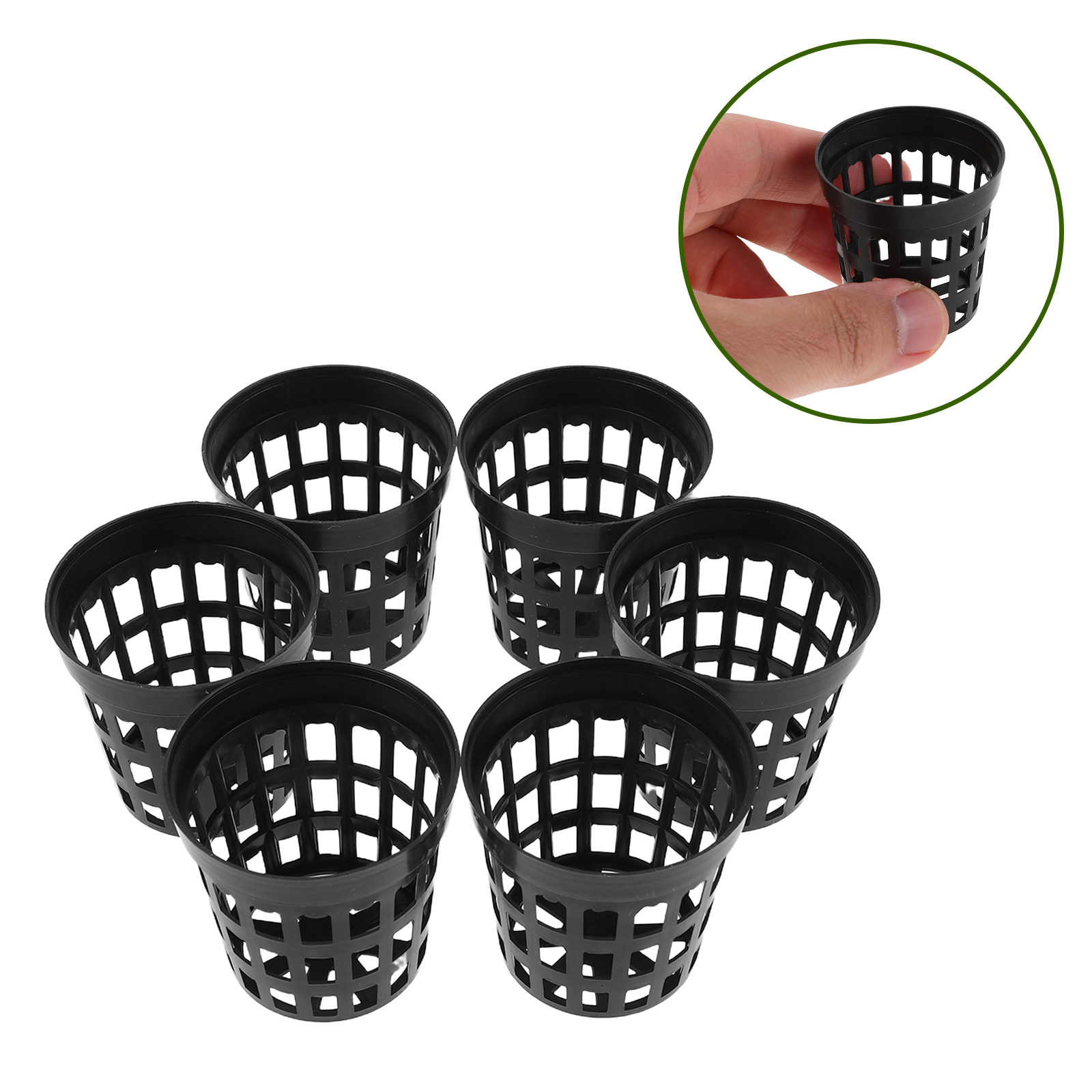 수경 재배용 수생 식물, 어류, 수초 재배에 사용되는  - Aquarium Plants 리뷰 및 가격