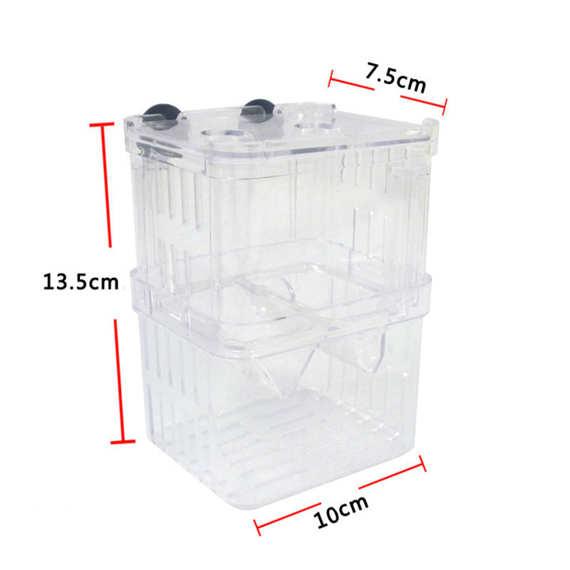 공작어 번식 격리 상자 어항 수족관 번식자 상자 이중  - Aquarium Fish Betta 리뷰 및 가격