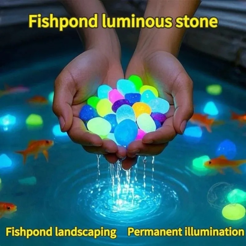 100-1000개 발광석 정원 어항 풍경 야광석 장식  - Fish Aquarium Home 리뷰 및 가격